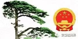 1501139323.jpg 1501139323.jpg